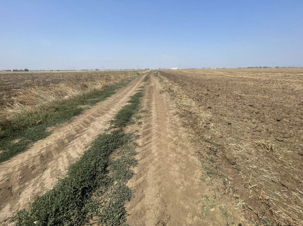Teren Popesti Leordeni Strada Mecanizarii - A0