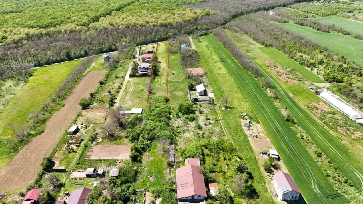 Lot 3600 mp Siliștea Snagovului