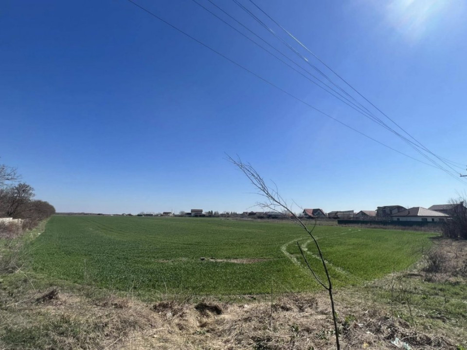 Gruiu_Lipia_Teren Intravilan langa padure