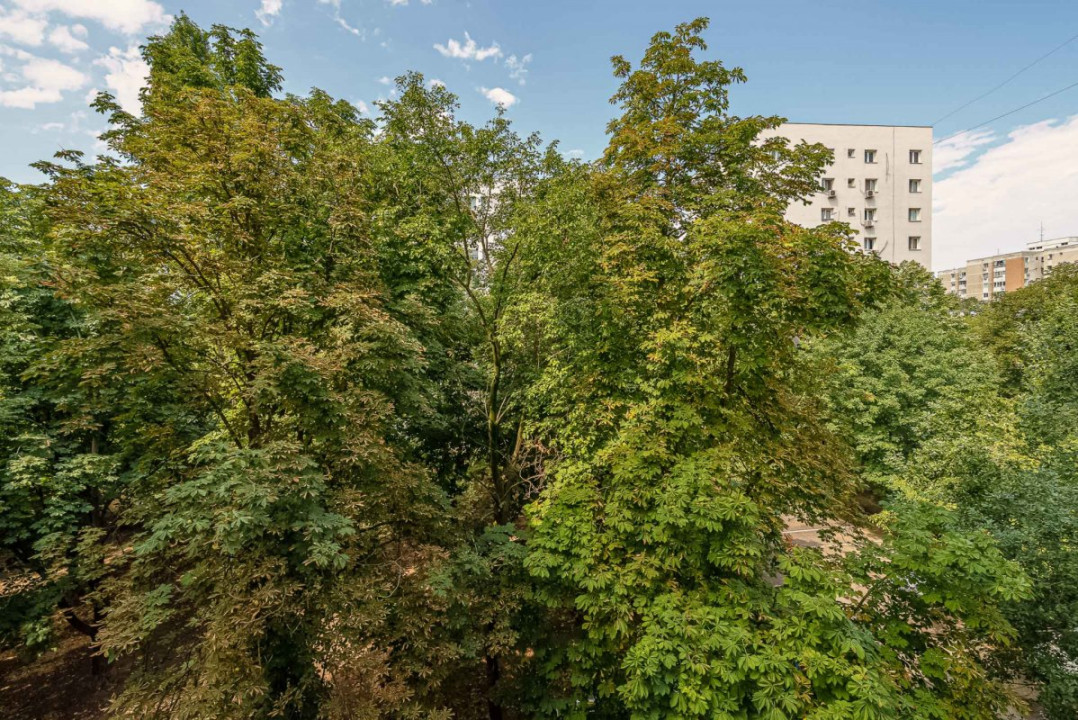 Garsoniera | Drumul Taberei | Bd. 1 Mai 22 | Renovata integral | 31 mp