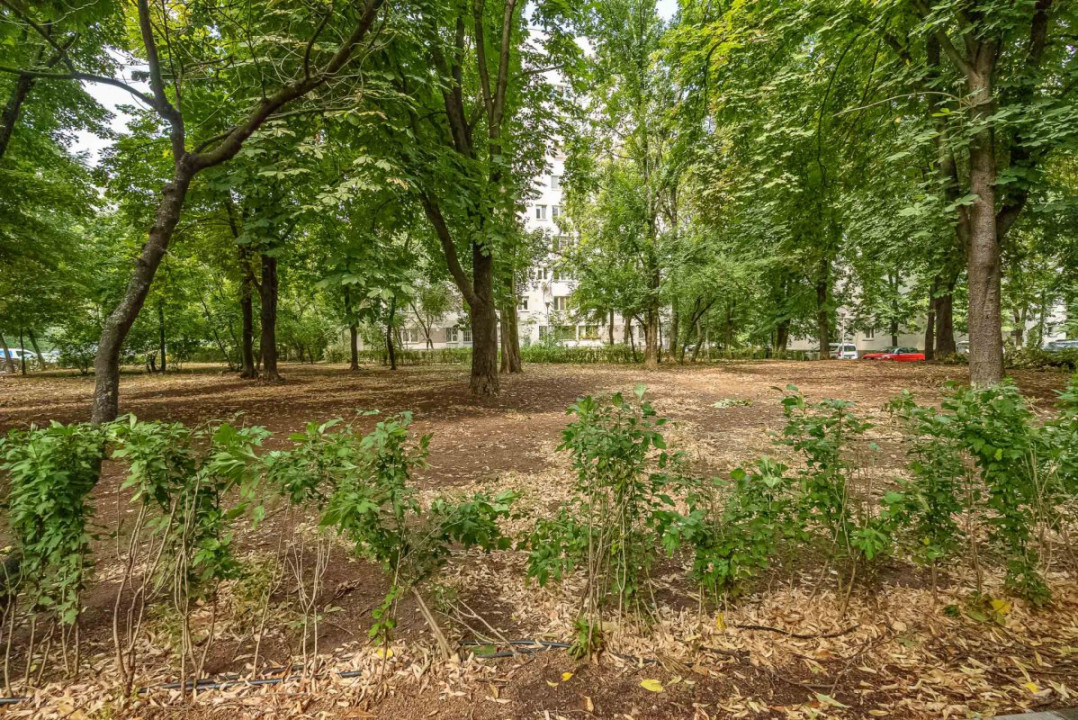 Garsoniera | Drumul Taberei | Bd. 1 Mai 22 | Renovata integral | 31 mp
