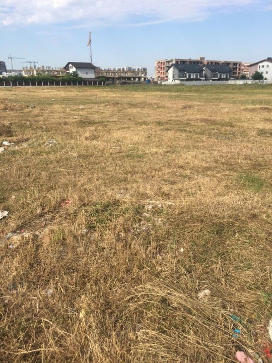 Teren 1000 mp Policolor Pallady 11 ml deschidere Gura Badicului