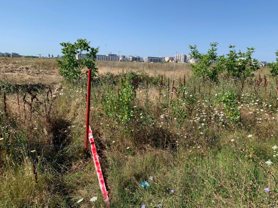 Teren 1000 mp Policolor Pallady 11 ml deschidere Gura Badicului