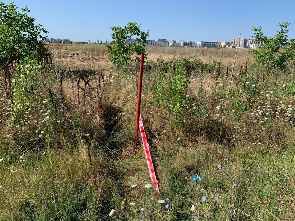 Teren 1000 mp Policolor Pallady 11 ml deschidere Gura Badicului