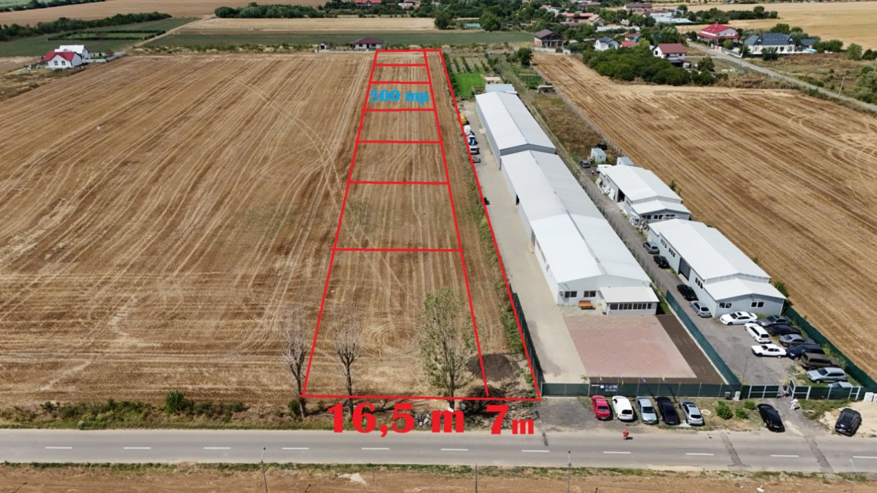CIOLPANI Lot 500 MP