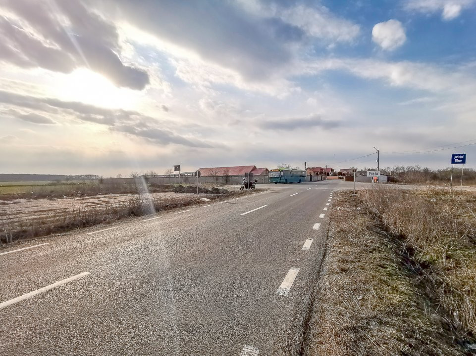 Teren intravilan la asfalt si statie autobuz Ilfov Cernica Posta