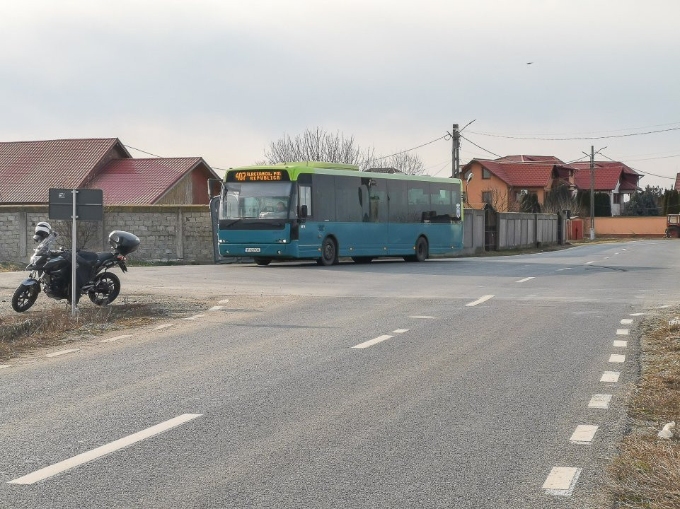 Teren intravilan la asfalt si statie autobuz Ilfov Cernica Posta