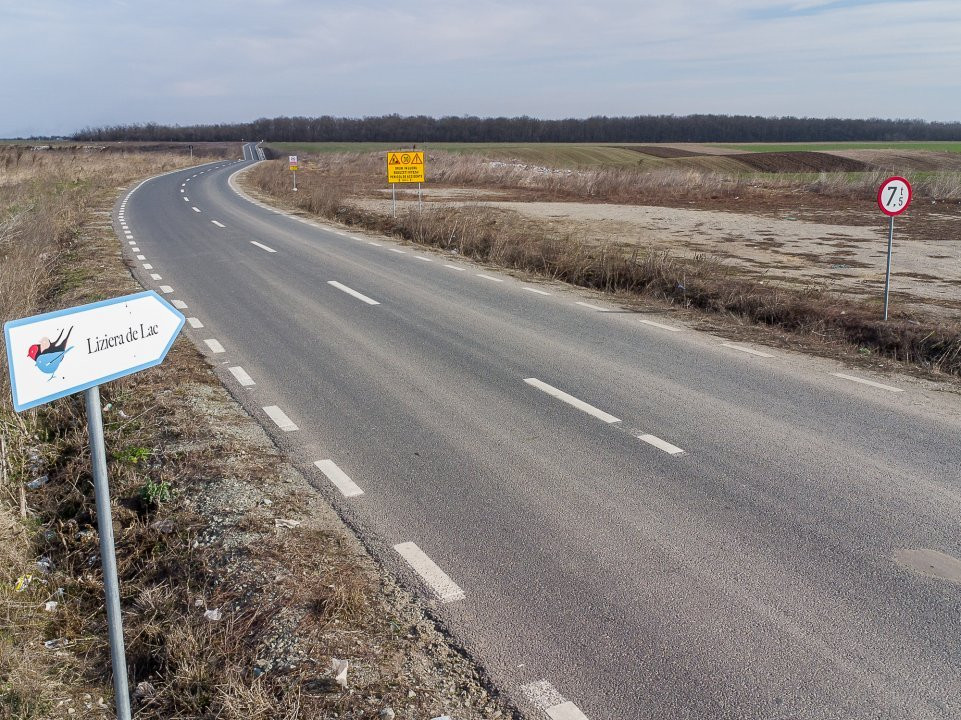 Teren intravilan la asfalt si statie autobuz Ilfov Cernica Posta