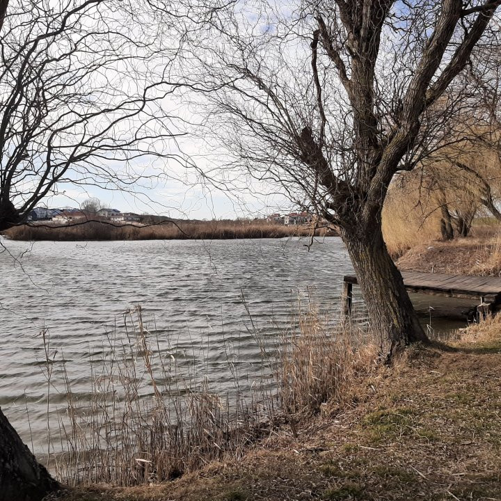 Teren 6.600mp cu deschidere la lac - zona centrală Corbeanca