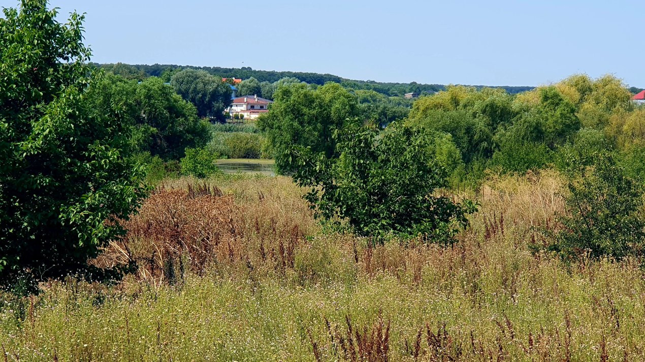 Teren 6.600mp cu deschidere la lac - zona centrală Corbeanca