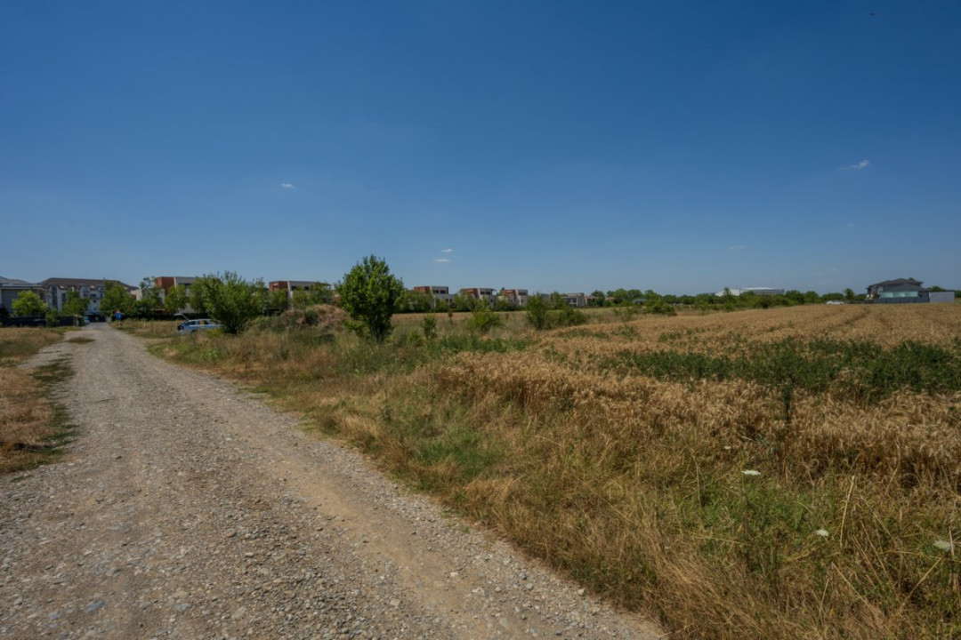 OTOPENI - CARPATILOR, TEREN 1371 MP!