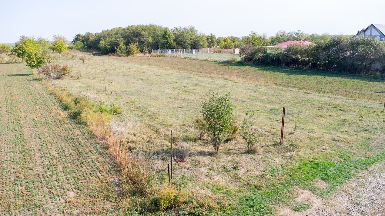 Teren intravilan Ilfov, Petrachioaia, la 3 minute STB Biserica Vanatori
