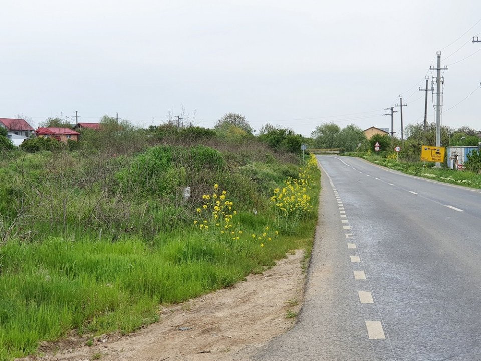 Comuna Vidra, Sat Cretesti, teren extravilan