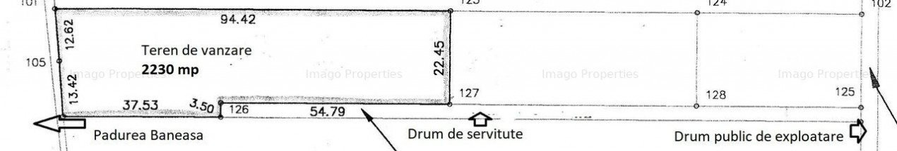 Teren Voluntari Padurea Baneasa