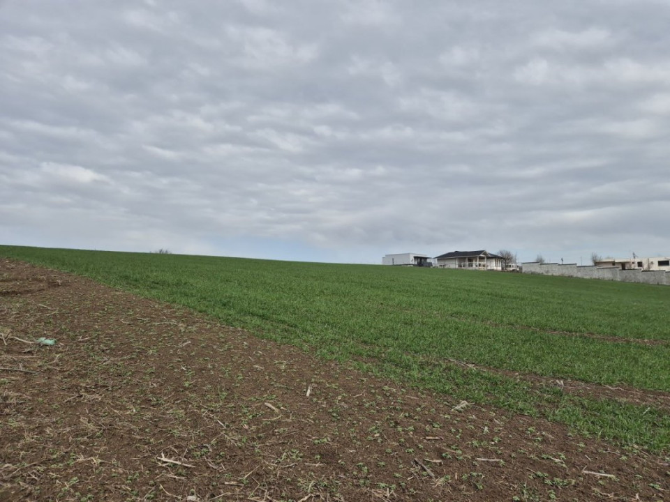 Teren 2500 mp – Izvorani | Deschidere directă la lac 