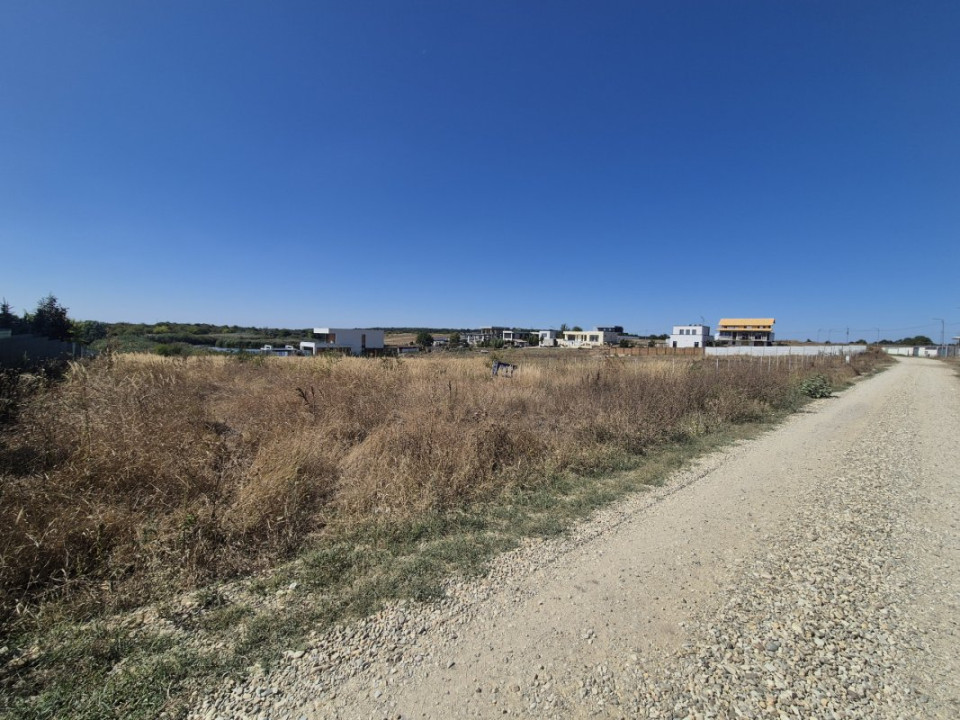 Teren 2500 mp – Izvorani | Deschidere directă la lac 