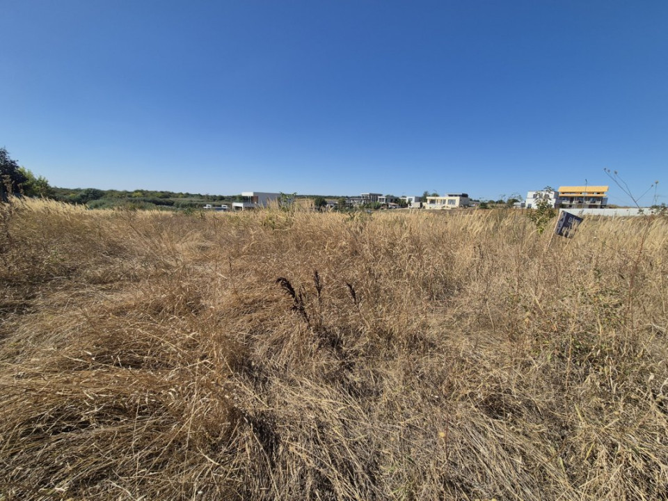 Teren 2500 mp – Izvorani | Deschidere directă la lac 