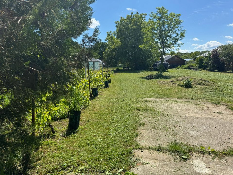 Teren Snagov – Ideal pentru dezvoltare rezidențială sau investiție!