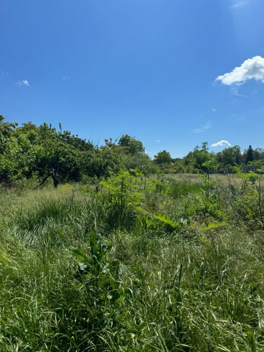 Teren Snagov – Ideal pentru dezvoltare rezidențială sau investiție!