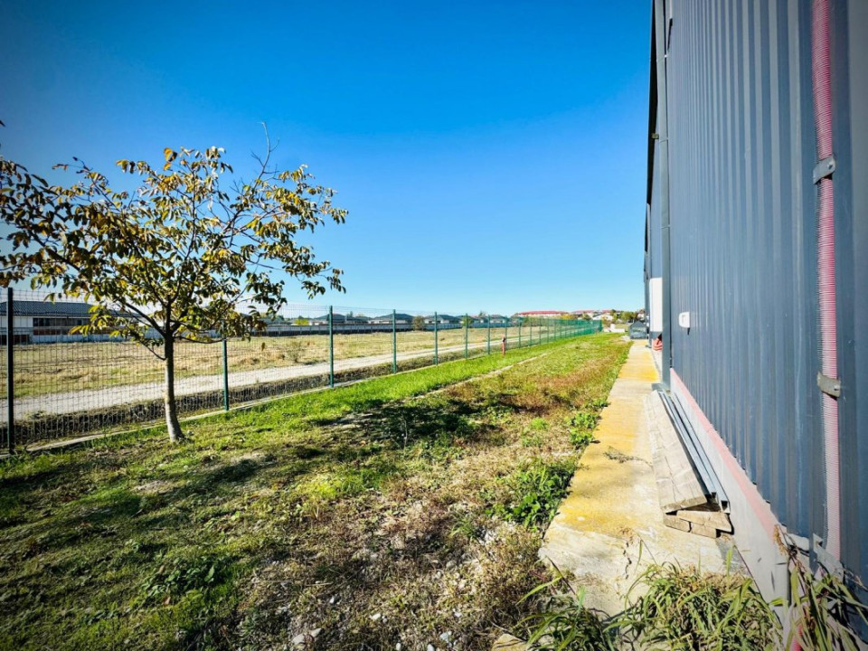 Hală + sediu firmă (locuință de serviciu) + teren de vânzare în Balotești, Ilfov