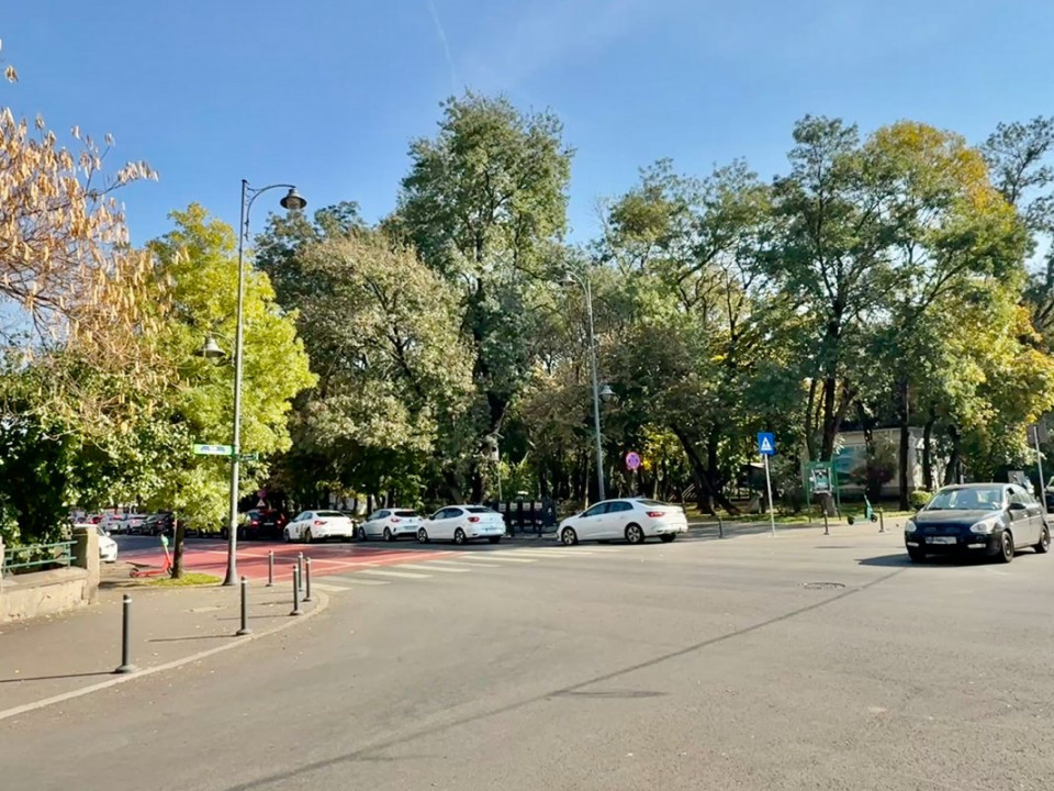 Vezi Parcul Kiseleff! Apartament spectaculos, 4 camere, 175mp