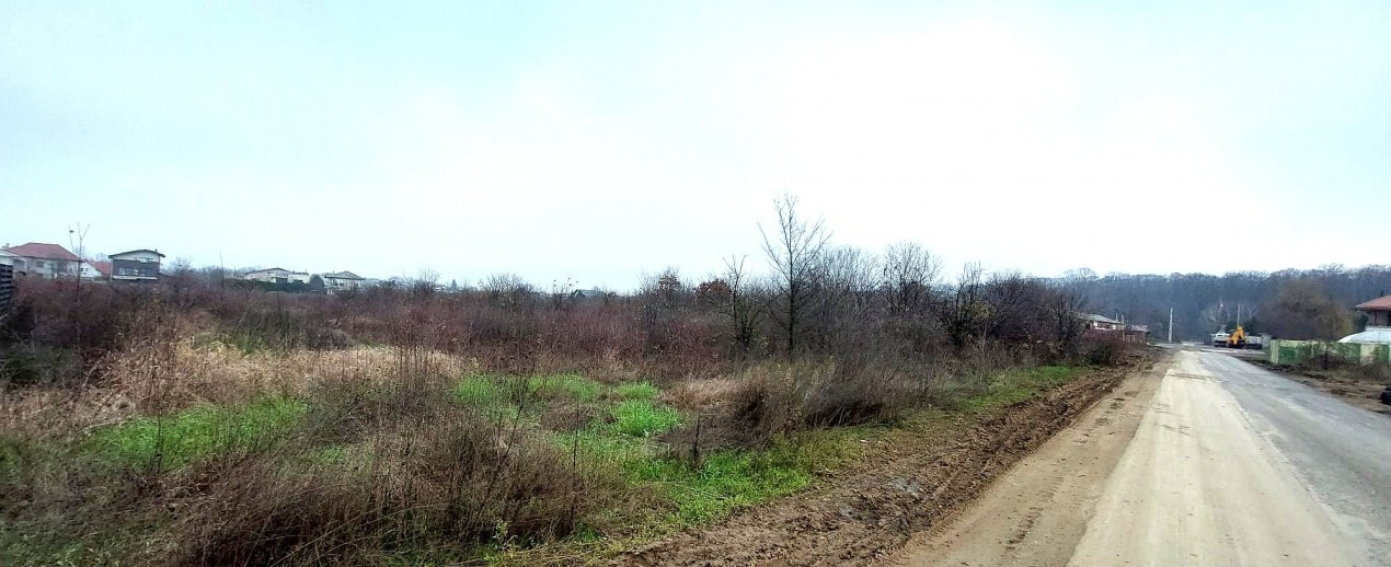 Teren de vânzare – 1000 mp în Mogoșoaia, zonă ideală pentru locuință					