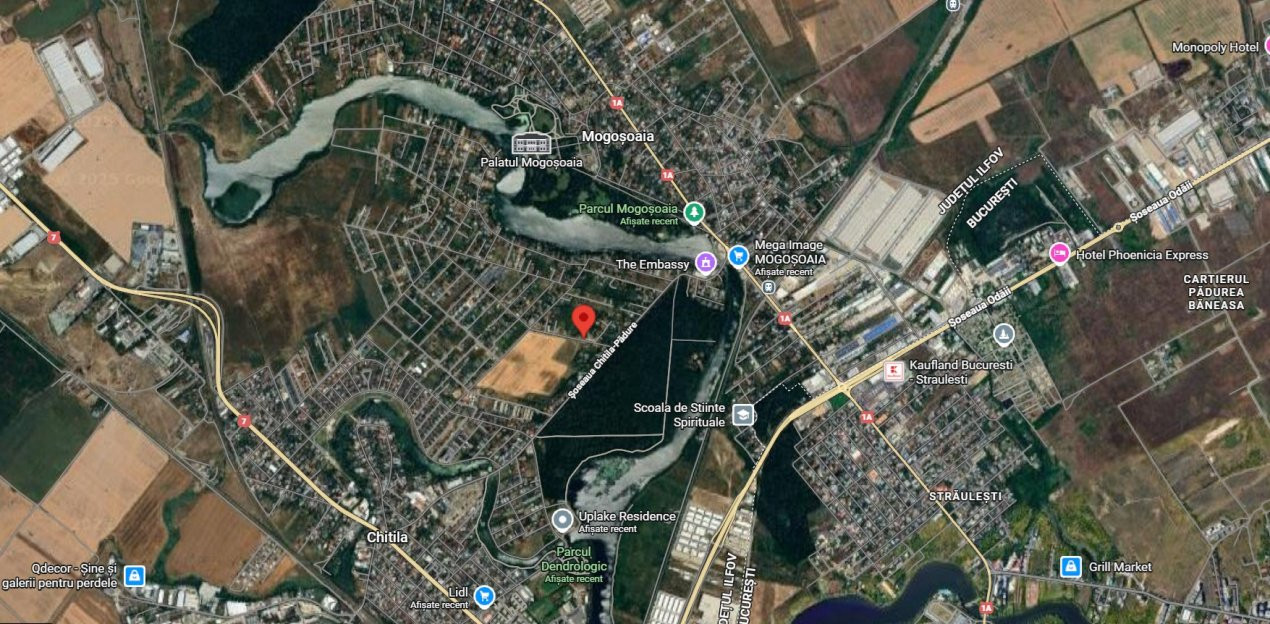 Teren de vânzare – 1000 mp în Mogoșoaia, zonă ideală pentru locuință					