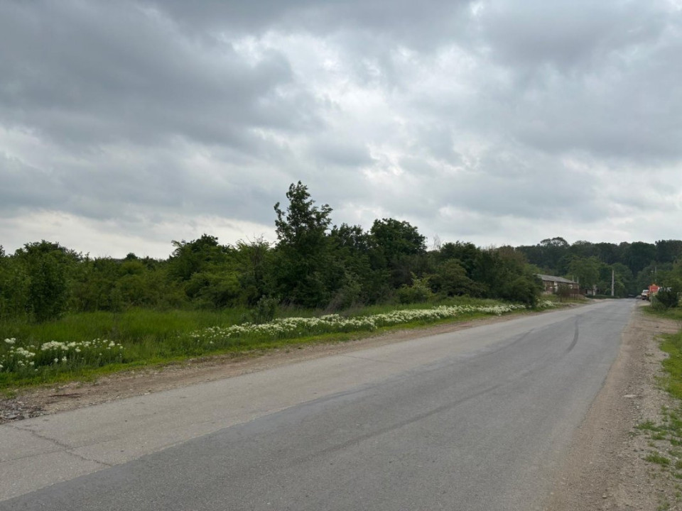 Terenul dintre 2 lacuri – 1000 mp în Mogoșoaia, la 5 minute de pădure