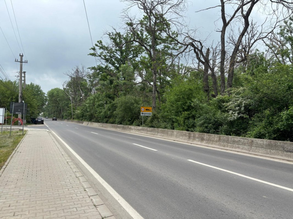 Terenul dintre 2 lacuri – 1000 mp în Mogoșoaia, la 5 minute de pădure