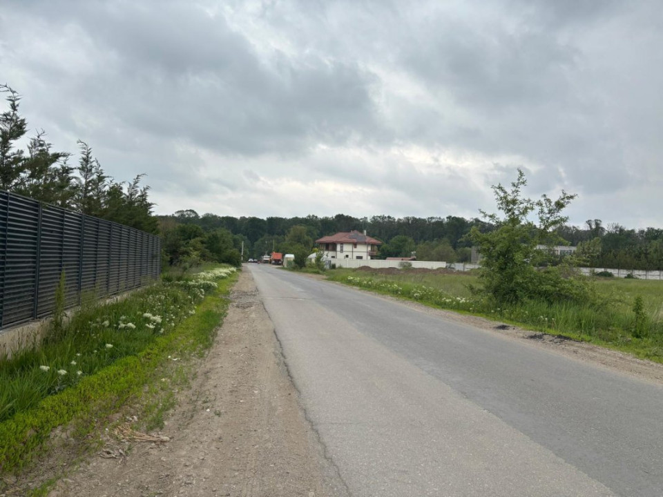Terenul dintre 2 lacuri – 1000 mp în Mogoșoaia, la 5 minute de pădure