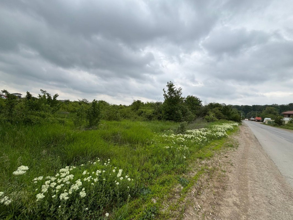 Terenul dintre 2 lacuri – 1000 mp în Mogoșoaia, la 5 minute de pădure
