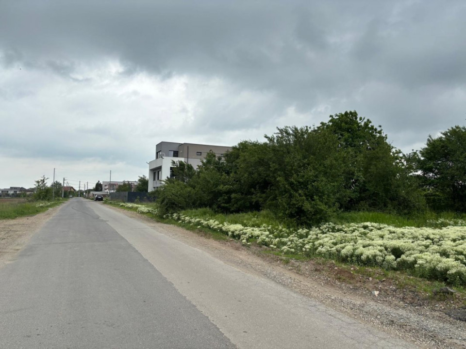 Terenul dintre 2 lacuri – 1000 mp în Mogoșoaia, la 5 minute de pădure