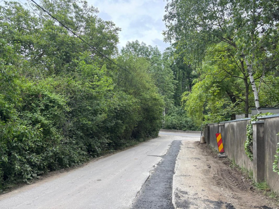Terenul dintre 2 lacuri – 1000 mp în Mogoșoaia, la 5 minute de pădure