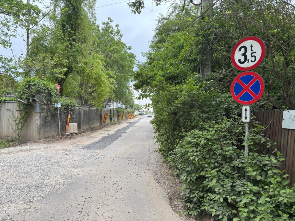 Terenul dintre 2 lacuri – 1000 mp în Mogoșoaia, la 5 minute de pădure