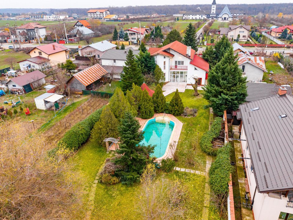 Vila familiei unite, piscină, cabană, Snagov - Ciofliceni