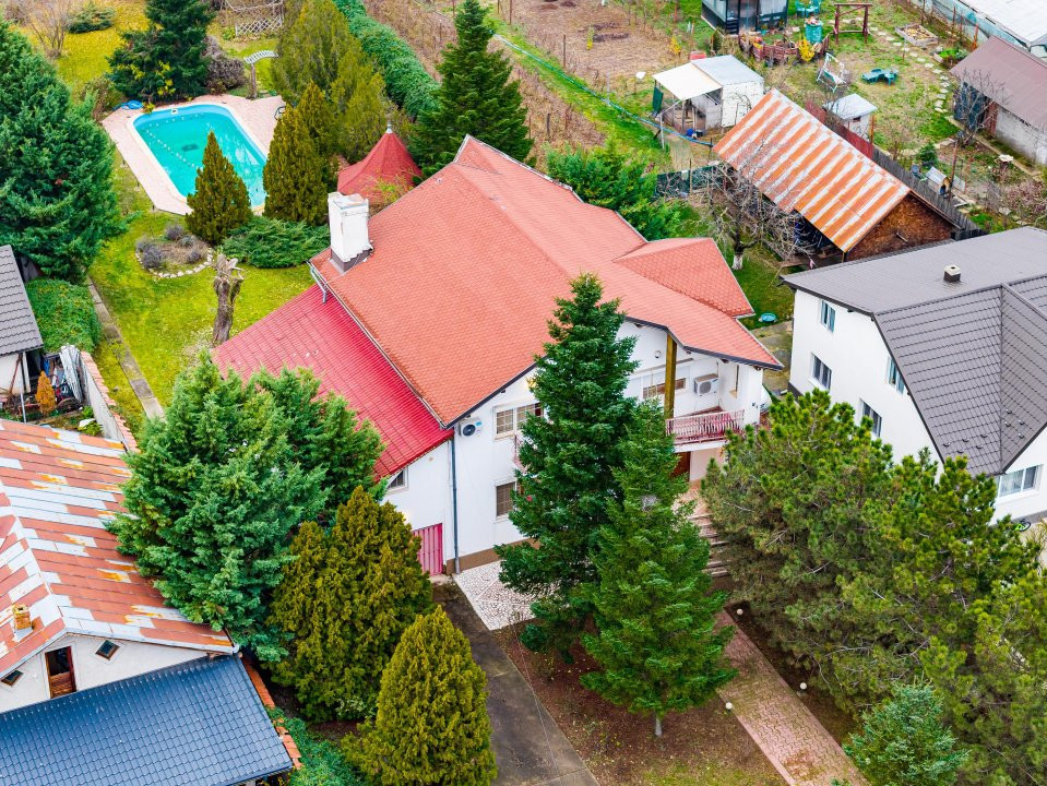 Vila familiei unite, piscină, cabană, Snagov - Ciofliceni