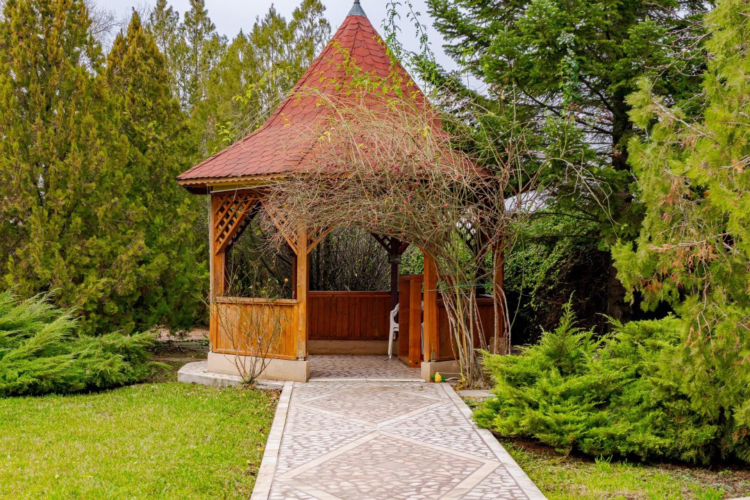 Vila familiei unite, piscină, cabană, Snagov - Ciofliceni