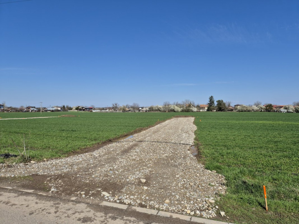 Snagov- Ciofliceni, loturi de casă între 505-628mp, Șerban Cantacuzino!