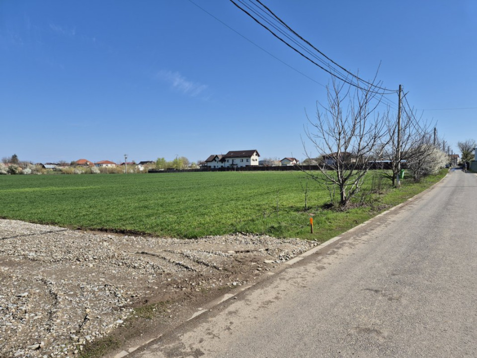 Snagov- Ciofliceni, loturi de casă între 505-628mp, Șerban Cantacuzino!