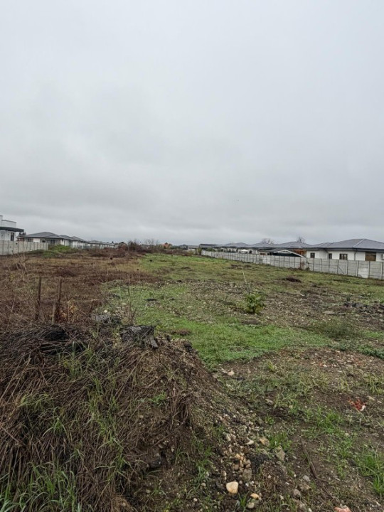 Tamasi, Corbeanca – teren 9838 mp