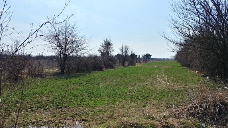 Teren intravilan Măgurele langa padurea Cornetu si Arges