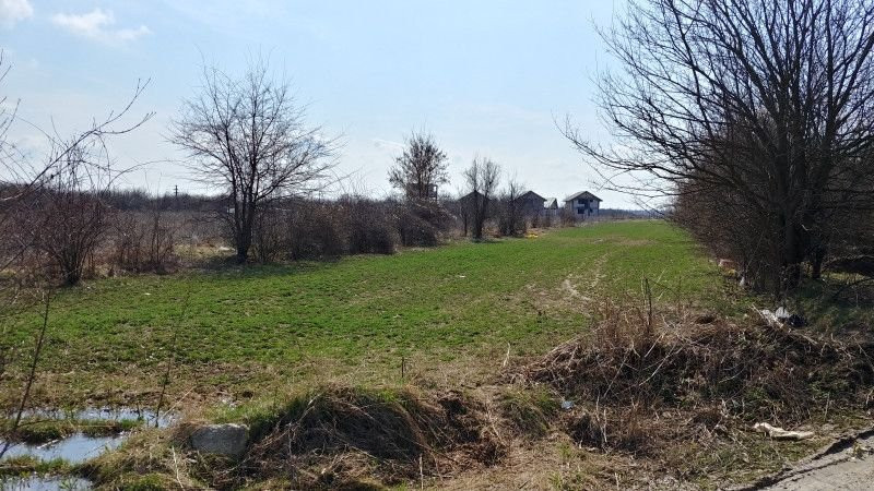 Teren intravilan Măgurele langa padurea Cornetu si Arges