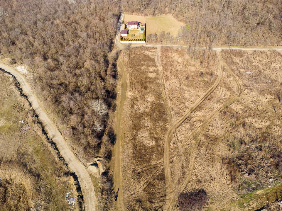 Teren intravilan Măgurele langa padurea Cornetu si Arges