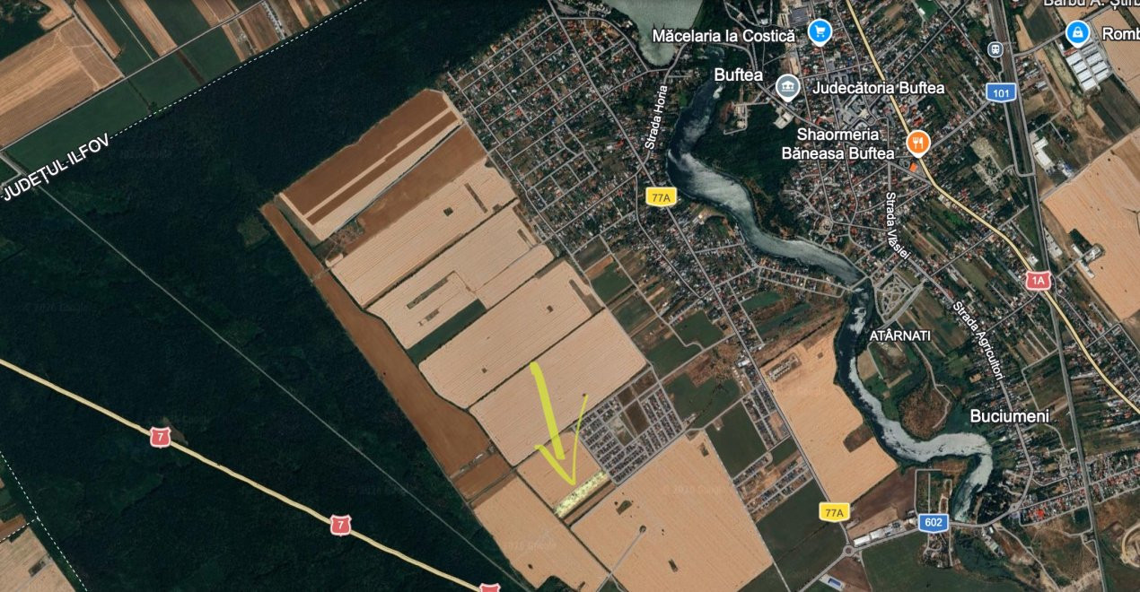 Teren intravilan 13124 mp cu front 44.5 m | Buftea - Cartierul Tineretului