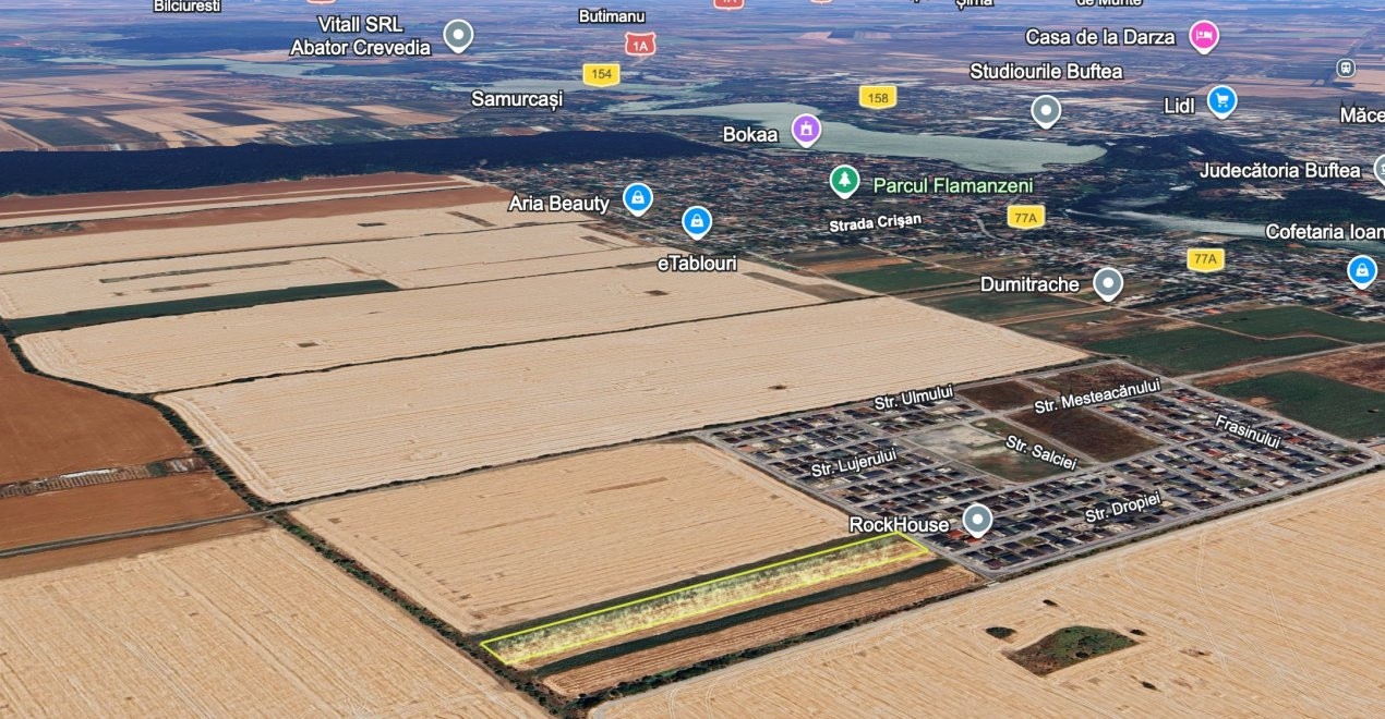 Teren intravilan 13124 mp cu front 44.5 m | Buftea - Cartierul Tineretului