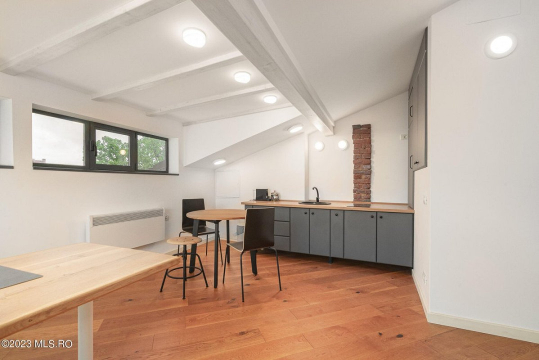 COTROCENI-GRADINA BOTANICA STUDIO LA CHEIE, 33 MP!