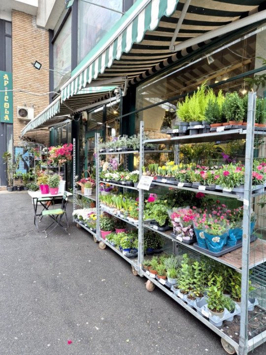 Apartament decomandat 2 camere, 60MP,  etaj 1, Calea Dorobanților!