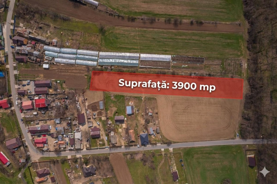 NUCI - BALTA NEAGRA, LOT 3900 MP, LA PADURE!