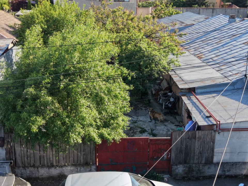 Popești Leordeni, casă demolabila/renovabila 3cam, singur curte 203mp