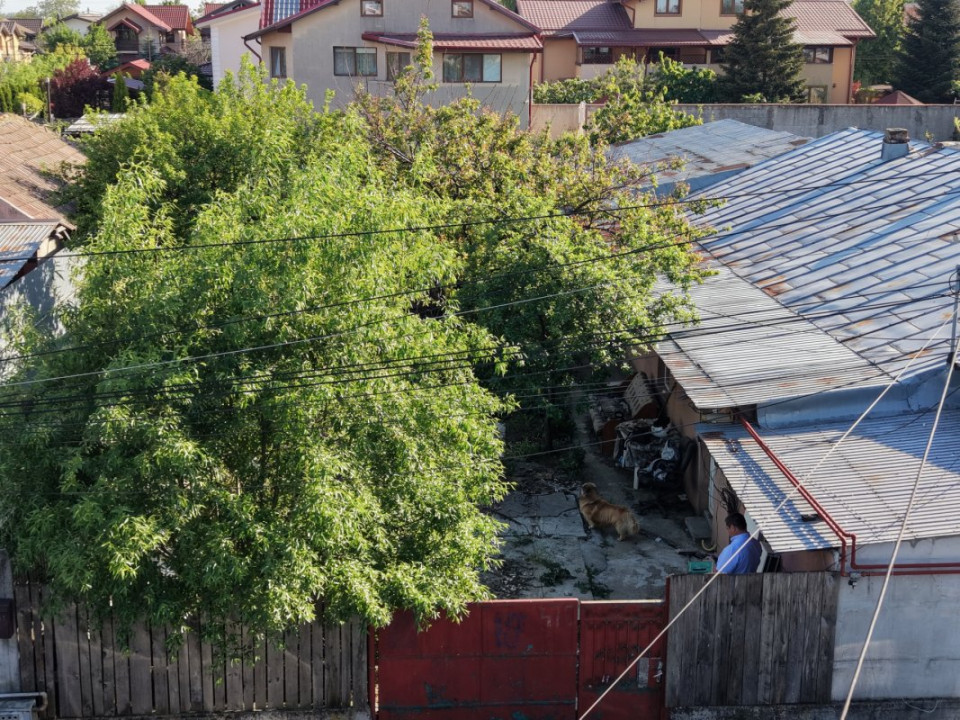 Popești Leordeni, casă demolabila/renovabila 3cam, singur curte 203mp